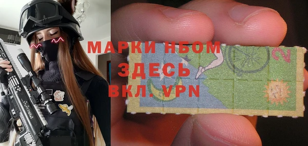 индика Алексин