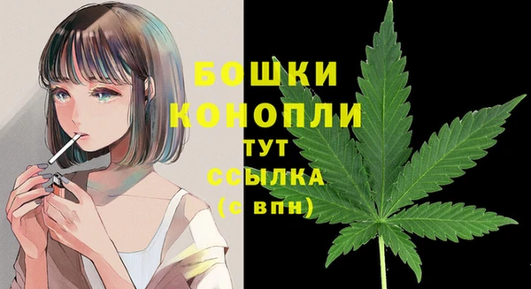 ПСИЛОЦИБИНОВЫЕ ГРИБЫ Протвино